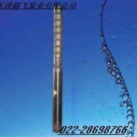 天津海水潛水泵，不銹鋼潛水泵