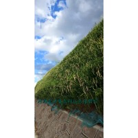 河南景繡專業(yè)承接邊坡綠化 生態(tài)修復 園林綠化等綠化工程施工