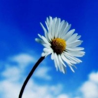 警惕盛世創(chuàng)富不正規(guī)！老師直播喊單騙局揭露！揭露虧損真相內(nèi)幕