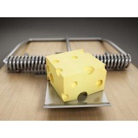 Admins虧損怎么辦？Admins被騙追回資金全過程！