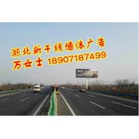 湖北武漢創意墻體店招廣告，湖北武漢戶外廣告牌安裝，武漢軍運會