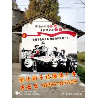 黃石鄉村文化墻彩繪、黃石3D畫立體地面彩繪、黃石店招墻體公司