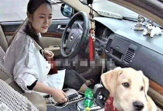 女司機注意了！往后副駕駛放這個，交警查到扣3分罰款200元