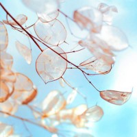 TEMICOIN正規(guī)嗎？虧損慘重內(nèi)幕大曝光！本人親身經(jīng)歷揭露