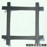 鋼塑格柵