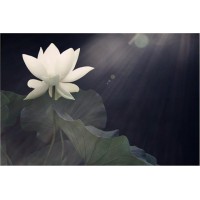 新紀元期貨騙局曝光?老師套路太深,頻繁虧損是被騙?