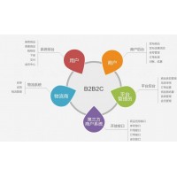 到底什么是B2B2C呢？
