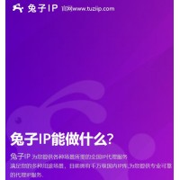 高質(zhì)量代理IP首選兔子動(dòng)態(tài)IP滿足對(duì)IP的一切業(yè)務(wù)需求