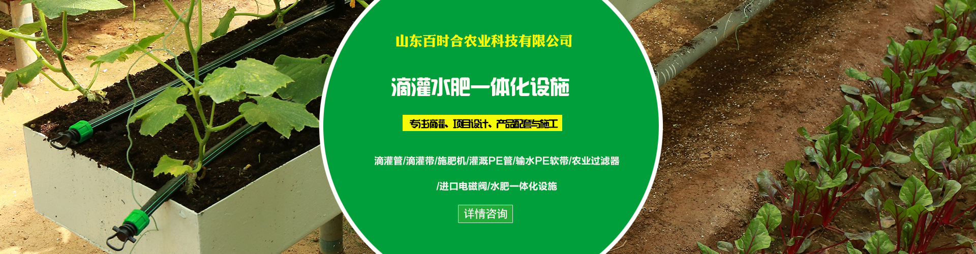 百時(shí)合主營(yíng)業(yè)務(wù)