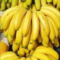 深圳進口水果報關代理公司