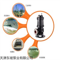 天津污水泵 潛水污水泵 污水提升泵 軸流泵