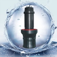 天津軸流泵 潛水軸流泵 中吸式軸流泵 海水軸流泵型號