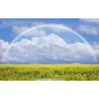 講述IDG資本不正規(guī)虧損經(jīng)歷,投資被騙幾十萬可挽回!
