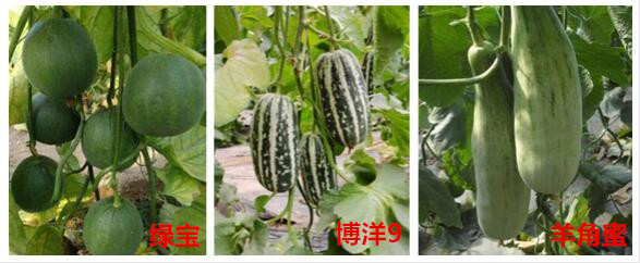QQ截圖20201105103031_副本