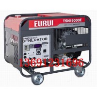 原裝日本進口東洋汽油發電機TSN19000E