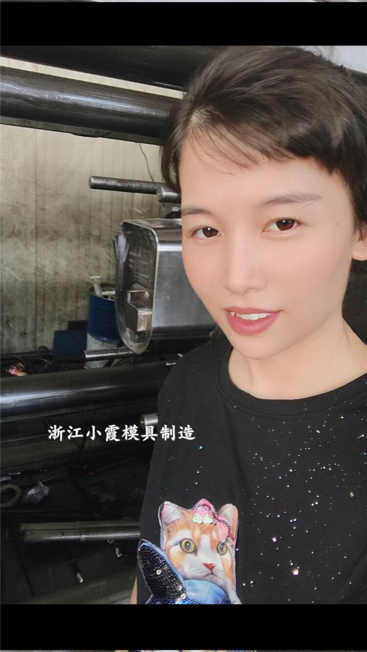 貓砂盆模具12