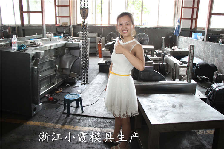 汽車模具 (80)