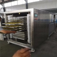 100平真空冷凍干機(jī) 水果切片冷凍鮮蔬凍干機(jī) 連續(xù)低溫凍干機(jī)