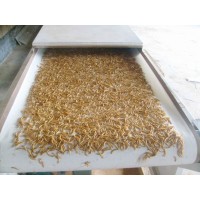 微波黃粉蟲膨化干燥設(shè)備、食品微波干燥設(shè)備