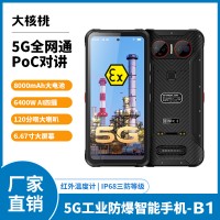 大核桃三防智能手機 石油化工礦井對講巡檢5G全網通防爆手機