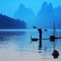 互聯網營銷師怎么去報考？目前最新的報考政策條件是什么？