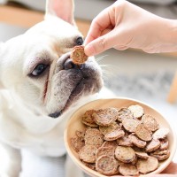 寵物食品進口報關