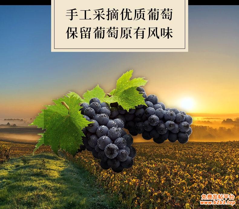 詳情頁5