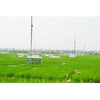 小麥氣候室