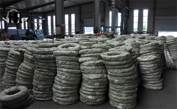 DSC_0224.JPG DSC_0224.JPG